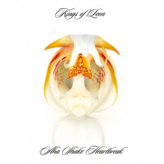 Kings Of Leon Aha Shake Heartbreak (cd) foto