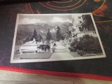 castelul peles terasa an 1934 f1