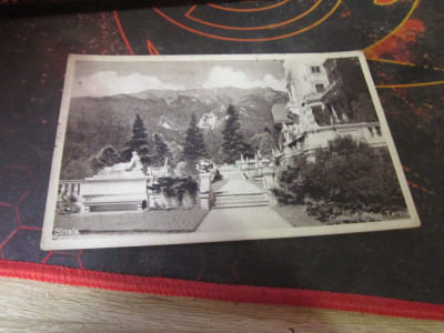 castelul peles terasa an 1934 f1 foto