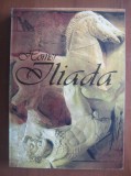 Homer - Iliada (traducere Radu Hincu)