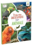 Prima mea enciclopedie despre animale - Claudia Martin