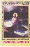 Revista Ortodoxa Sfantul Andrei Nr 1-2 Anul 2006 Carti Religioase Coperta Brosata Stare Buna Dimensiune 13x20cm