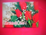 HOPCT 25244 LA MULTI ANI-LALELE - FELICITARE ANIVERSARA - - - NECIRCULATA