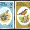 TRISTAN DA CUNHA 1979 FAUNA PASARI SI FOCI