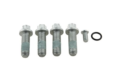 Kit de fixare Kit Pentru Nr: Klt-Vv-013, 4+1 Suruburi, Oring, NTY KLT-VV-013-Z foto