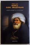 AGENTUL SECRET AL LUI ALTIN-BEY de RODICA OJOG-BRASOVEANU, 2015
