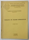 MASAJUL PE TRASEE ENERGETICE de GHEORGHE CRISTESCU , 1994