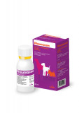 Rheumocam, 1.5 mg/ ml solutie orala, 42 ml, Chanelle