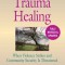 The Little Book of Trauma Healing: Revised &amp; Updated: When Violence Strikes and Community Security Is Threatened