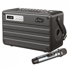 Boxa portabila all in one 100w uhf bt/usb/msd/aux