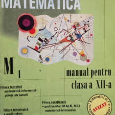 Matematica M1 - Manual pentru clasa a XIIa