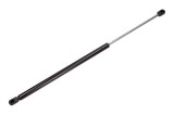Amortizor portbagaj RENAULT MEGANE Sc&eacute;nic (JA0/1_) (1996 - 2001) MAXGEAR 12-0122