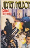 Sidney Sheldon - Chipul fara masca