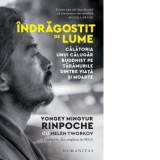 Indragostit de lume. Calatoria unui calugar buddhist pe taramurile dintre viata si moarte - Yongey Mingyur Rinpoche, Helen Tworkov, Sega