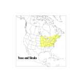 A Field Guide to Trees and Shrubs: Northeastern and North-Central United States and Southeastern and South-Central Canada