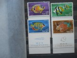 SERIE ISRAEL PESTI