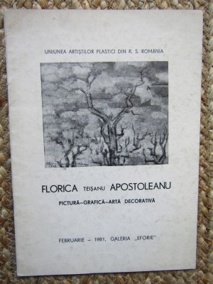 CATALOG EXPOZITIE Florica Teisanu Apostoleanu 1981 foto