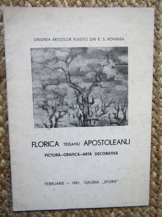 CATALOG EXPOZITIE Florica Teisanu Apostoleanu 1981