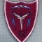 AX 1232 EMBLEMA AVIATIE-PARASUTISTI-ESCADRILA 52 ?-BAZA 52 ?-PENTRU COLECTIONARI