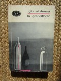GIB. MIHAESCU - LA GRANDIFLORA ( NUVELE I ) ( BPT382 )