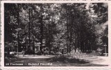Carte postala circulata in 12 august 1943