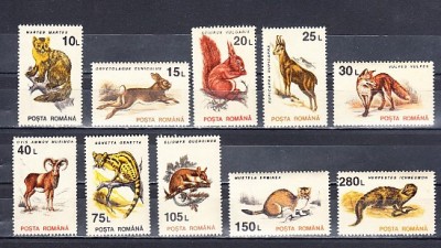 M1 TX 1 - 1993 - Animale (uzuale) foto