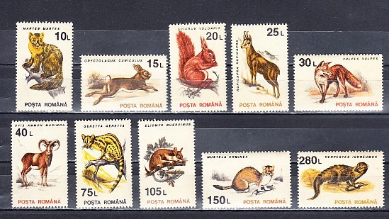 M1 TX 1 - 1993 - Animale (uzuale)