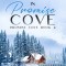 Winter in Promise Cove