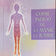 Copiii indigo de la manie la iubire - Dianne Lancaster