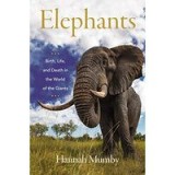 Elephant in the Mirror