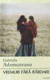 Gabriela Adamesteanu - Vremuri fara rabdare