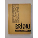 Emilian Dumitru (dedicație) - Br&acirc;uri din Munții Banatului Br&icirc;uri... (1966)