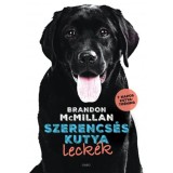 Szerencs&eacute;s kutya leck&eacute;k - Brandon Mcmillan