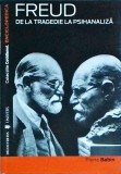 Pierre Babin - Freud. De la tragedie la la psihanaliza