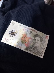 Bancnotă 20 ron Ecaterina Teodoroiu noua foto