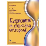 Economia in clepsidra entropica - Florina Bran, Gheorghe Manea, Ildik&oacute; Ioan, Carmen Valentina Radulescu