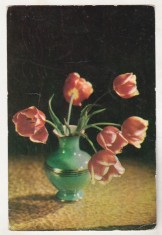 bnk cp Felicitare - Flori - Lalele - circulata 1964 - marca fixa foto