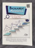 Camelia Maria Magdas (coord.) - Bacalaureat matematica 2017. Ghid de pregatire