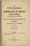 1647SPN XVI programă a Gimnasiului mare public romăn de religiunea ort resăriteană din Brașovu pe anul scol 1879/80 &ndash; anuar