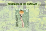 Grenada Carriacou 2011 - Flora , Ciuperci , Colita , dantelata , MNH , Mi. Bl.655, Nestampilat