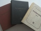 Patrologie Vol. 2, I. Coman, Editura BOR 1985: Polemisti, Autori Latini, Alexandrini, Apocrife, Istoria Bisericii