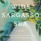 Wide Sargasso Sea