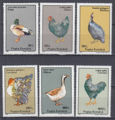 ROMANIA 1995 LP 1386 PASARI DOMESTICE SERIE MNH foto