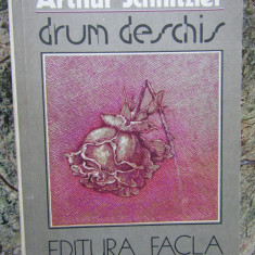 ARTHUR SCHNITZLER - DRUM DESCHIS (1986)