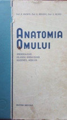 Anatomia omului Angeiologie,Glande endocrine,Sistemul nervos-Z.Iagnov,E.Repciuc,G.Russu foto