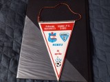 Fanion Soimii IPA Sibiu - Dinamo