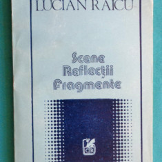 Lucian Raicu – Scene reflectii fragmente ( critica literara )