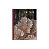 The Lives of Fungi: A Natural History of Our Planet's Decomposers