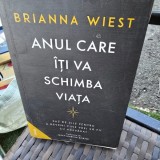 Anul care iti va schimba viata - Brianna Wiest