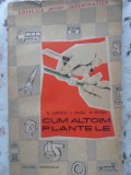 CUM ALTOIM PLANTELE-FL. LUPESCU, I. MILITIU, A. MILITIU-347464